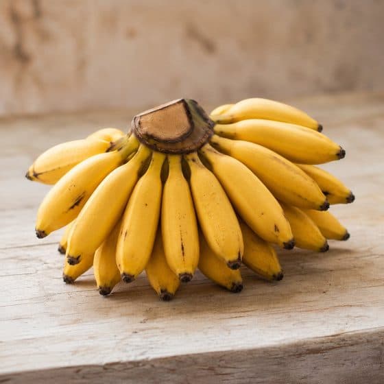 Banana Ouro