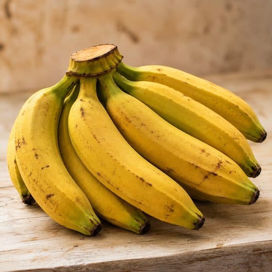 Banana Terra
